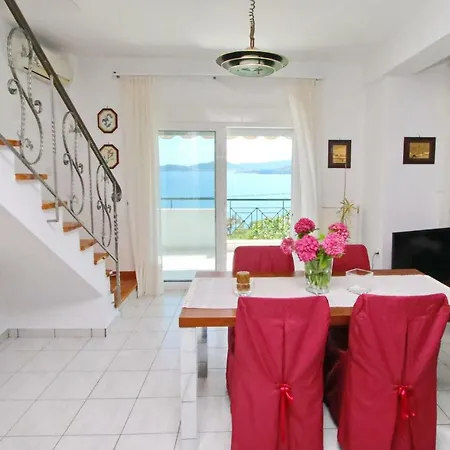 Coral * PalaiónTsiflíkion